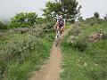 LIGURIAMTB13 (135)